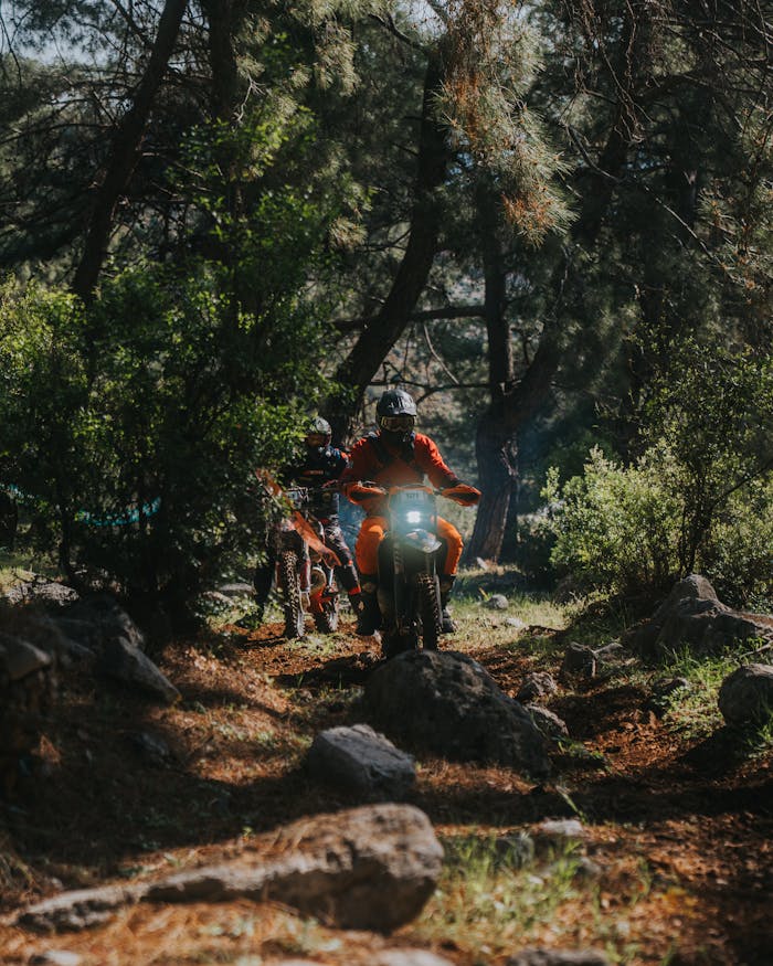 Two riders navigating forest trails on dirt bikes in a sunlit adventure.